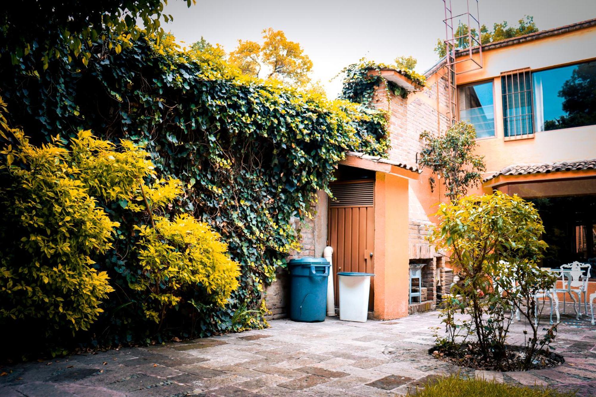 Suites Cuija Coyoacan Μεξικό Εξωτερικό φωτογραφία